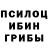 Галлюциногенные грибы Magic Shrooms ROMAZOTTY TV