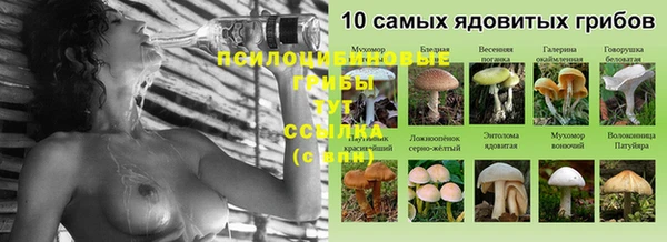 MDMA Осинники